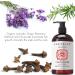 Laritelle Organic Hair Growth Conditioner Fertile Roots 16 oz with Organic Ginger Rosemary & Clove | Stimulates Scalp Strengthens Follicles Softens & Restores Shine | Vegan Sulfate-Free. USA Made - Buy Online on GoSupps.com