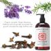 Organic Anti-Thinning Conditioner | Strengthen & Rejuvenate Hair | Ayurvedic Herbs for Hair Loss Prevention & Growth | Lavender Ginger Rosemary - Buy Online on GoSupps.com