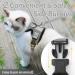 Rabbitgoo Cat Dishes & Harness Sets Safe Stylish Cat Gear for Breakout Prevention - Buy Online on GoSupps.com