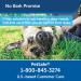 PetSafe Outdoor Ultrasonic Bark Control | Deterrent for All Dog Sizes | 1/4 Acre Coverage | Automatic Activation | Weatherproof | Ideal for Backyards - Buy Online on GoSupps.com