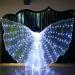 GEZICHTA LED Isis Wings Glow Light Up Belly Dance Costumes with Sticks Performance Clothing Carnival Halloween, Large LED Belly Dance Wings Wings Glow Light Up Belly(White), free size
