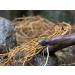 Jahno Herbs Jamaican Sarsaparilla Root (Smilax reglii) Cut and Sifted Wild-Harvest - Buy Online on GoSupps.com
