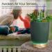 Earnest Living Essential Oil Diffuser - Ceramic Succulent Pot 100ml Night Light Timer & Auto-Off Function for Lavender Aromatherapy - Buy Online on GoSupps.com