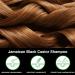 P-Beauty Castor Oil Shampoo with Biotin 1x300ml for Hair Growth Natural Hair Care & Scalp Care | Anti Hair Loss Shampoo - Buy Online on GoSupps.com