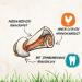 8in1 Pro Dental Bone for Medium Dogs - Healthy Chewing for Dental Care | 1 Pack - Buy Online on GoSupps.com