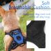 Rabbitgoo Adjustable Dog Harness for Small Dogs - No Pull Control Breast Harness with Reflex Stripes Breathable Design - XS Blue (1 Pack) - Buy Online on GoSupps.com
