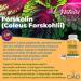 Ciao Nutrition Forskolin Supplement - Metabolism Booster and Appetite Suppressant - 500mg 60 Capsules - Buy Online on GoSupps.com