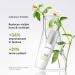 bareMinerals Phyto-Retinol Night Concentrate 8.0g - Ageless 10% Formula - Buy Online on GoSupps.com