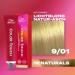  Wella Wella Professionals Color Touch Pure Naturals 60ml - Buy Online on GoSupps.com