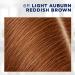 Clairol Root Touch-Up by Nice'n Easy 6R Light Auburn/Reddish Brown Hair Dye - Pack of 2 - Buy Online on GoSupps.com
