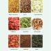 Pwshymi 120g 20 Counts Pure Natural Chrysanthemum Cassia Seed Tea Goji Berry Tea Combination Eight Treasures Tea Tea - Buy Online on GoSupps.com
