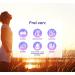 240 Bubble Welfare Capsules - Vegan Bubbles Complex with 14 Ingredients for Optimal Health - Plantomol (1 Pack) - International Shipping - Buy Online on GoSupps.com