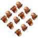 TRIXES 12 Pieces Stylish Brown Mini Hair Clips Hair Claws Clips Pins Clamps