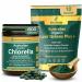 Biogenesis Australian Grown Organic Greens Bundle Chlorella 500mg Tablets (600 Ct) + SuperGreens Powder (300g) BioDynamic Cracked Cell Wall & Nutrient Rich Superfood Mix Supports Energy Detox &