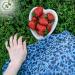 Naturelia Areca Heart-Shaped Kids 6.5-Inch Plates- Eco-Friendly Disposable Biodegradable and Microwave-Palm Leaf Dinnerware for Special Occasions- Natural Plate Ideal for Weddings Parties Events - Buy Online on GoSupps.com