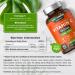 Vitamin C and Zinc | 180 Vegan Tablets | High Strength Vitamin C 1400mg and Zinc 40mg | No Artificial Preservatives | by Horbaach - Buy Online on GoSupps.com