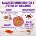 Wellness Complete Health Grain-Free Wet Cat Food - Chicken & Lobster, Natural Ingredients, Made in USA, Adult Cat Pate (3oz, 5oz, 12.5oz) - Buy Online on GoSupps.com
