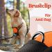 Rabbitgoo Dog Harness for Small Dogs - Adjustable No-Choke Softly Padded Reflective with Handle - Anti-Train Design - 1 Pack Orange - Buy Online on GoSupps.com