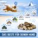 Animal Power Joint Tablets for Dogs - Made in Germany - Green Lipped Mussel & Teufel's Claw - 100 Bone & Joint Protection Tablets - Buy Online on GoSupps.com