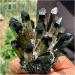 Natural Crystal Rough Crystals 1pc Black Phantom Quartz Crystal Cluster (Size : 200-250g) - Buy Online on GoSupps.com
