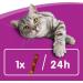 Whiskas Salmon Sticks 28x18g (504g) - Delicious Treats for Cats | International Shipping Available - Buy Online on GoSupps.com