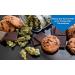 2 Pack DrugExam THC 20 ng/mL Single Panel Test Kit - Detect THC in Urine up to 45 Days (2 Pack) - Buy Online on GoSupps.com