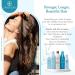 Ovation Hair Holiday Gift Set - Volume System + Cell Therapy for Stronger, Fuller & Healthier Hair - Buy Online on GoSupps.com