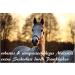 Shop Leading Knit with Panic Hooks for Horses | Stylish Designs for Leashes Tie Ropes & More - Ideal for Ponies Donkeys & Goats - Buy Online on GoSupps.com