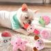 Vipnaji Puppy Toys - 15PCS Long-Lived Plush & Rope Toys for Small & Medium Dogs | Non-Toxic & Safe Cotton Wool | Perfect for Puppies - Buy Online on GoSupps.com