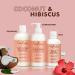 SheaMoisture Coconut & Hibiscus Curly Hair Care Set - Shampoo, Conditioner & Styling Milk with Shea Butter & Coconut Oil - Buy Online on GoSupps.com