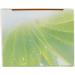So'Bio tic Cr me L g re Hydratante 24 H Jour au Pur Jus d'Aloe Vera Bio Tube de 50 ml - Buy Online on GoSupps.com