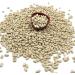 Organic Cannellini Beans 1kg - High Fibre High Protein No Additives No Preservatives Raw Vegan GMO-Free - Nutritious and Flavorful - Great for Soups Salads and Casseroles - Thames Organic - Buy Online on GoSupps.com