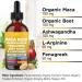 Organic Maca Root Liquid Drops with Ashwagandha Nettle Fenugreek Beet Root and L-Arginine Liquid Multivitamin for Women and Men - 4oz 2 Fl Oz (Pack of 2) - Buy Online on GoSupps.com