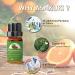 ASAKUKI Fruity Fruit Fragrance Oils 10*10ML Essential Oils Gift Set - Fresh Summer Scents for Candle & Soap Making - Lemon, Mango, Coconut, Strawberry, Watermelon, Pineapple, Green Apple & More - Buy Online on GoSupps.com