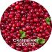Ellie Chase Cranberry Scented Cuticle & Nail Care Oil 2.3 Fl Oz - Infused with Jojoba, Aloe & Vitamin E for Hydration, Repair & Growth - Buy Online on GoSupps.com