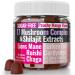 Sugar-Free Shilajit Mushroom Complex Gummies Mushrooms Extract w. Lion's Lions Mane Reishi Turkey-Tail Cordyceps Shiitake Chaga Maitake Lionsmane Tincture Tea Powder Capsules Supplement Organic