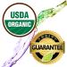 Buy Organic Balsam Fir Essential Oil - 10ml Pure & Undiluted for Diffusers | Healing Solutions - Buy Online on GoSupps.com