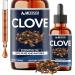 Mecisco Clove Essential Oil Supplement for Toothache Oral Care Skin & Hair Clove Oil Organic 1 FL Oz - 30 ml