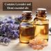 Vitali-Chi Essential Oil Spray Made from Lavender and Elemi | Detoxing & Calming Atmosphere Relaxation Focus & Peace | Air Freshener Aura & Room Spray with Refreshing & Soothing Aroma - 50 ml Lavender & Elemi - Buy Online on GoSupps.com