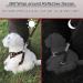 Rennaio No-Pull Dog Harness Set - Adjustable Comfort Chest Harness & Leash for Small & Medium Dogs - Includes 2 Puppy Dishes - Brown XL - Buy Online on GoSupps.com
