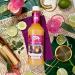 Master of Mixes Margarita / Daiquiri Drink Mixes Variety  Ready to Use  1 Liter Bottles (33.8 Fl Oz)  Pack of 6 Flavors + Margarita Salt - Buy Online on GoSupps.com