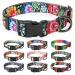 Heele dog collar dogs collar for puppies Small medium-sized dogs patterned dog collars adjustable comfort robust dog collar wild flowers XS XS (length 21.6-28cm width 1.5 cm) wild flowers