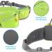 Buy ZeroTo Multi-Pocket Waterproof Sport Drinking Belt - Lightweight Green Hip Pocket Bottle Holder for Walking & Cycling - Buy Online on GoSupps.com