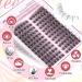 Buy Wispy Lash Clusters - Natural Cat Eye Eyelash Extensions (10-16MM) | Pleell Lashes | International Shipping - Buy Online on GoSupps.com