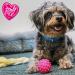 Anol Small Bite Vinyl 6 Ball Assorted 4.5 cm - Clear | Pet Toy - Buy Online on GoSupps.com