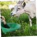 Mipcase 1pc Sheep Drinking Bowl Cow Water Bowl Goat Drinking Waterer Automatic Goat Waterer Bowl Copper - Buy Online on GoSupps.com