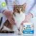 Glandex Feline Anal Gland Fiber Supplement Powder for Cats - Vet Recommended with Digestive Enzymes, Probiotics, and Pumpkin - Tuna Flavored 4.0 oz - Buy Online on GoSupps.com