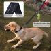 VIVAGLORY Short Dog Lead - 61cm Black/Red for Medium & Large Dogs - Buy Online on GoSupps.com