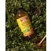 Bragg Organic Apple Cider Vinegar Drink with Honey - 16oz | 12 Pack - Buy Online on GoSupps.com