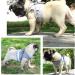GWAWG Cat Harness and Lead Set Escape Proof Kitten Harness Soft Mesh with Metal Ring for Walking Travel S Grey - Buy Online on GoSupps.com